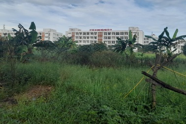 Đà Nẵng đấu giá thành công 2 khu đất "khủng", xây siêu thị, trường học