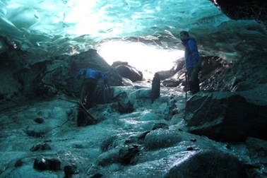 Tìm thấy khu rừng cổ đại 1000 năm tuổi dưới đáy sông