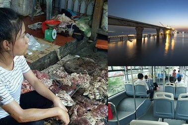 Cây cầu khủng vượt biển và phản thịt lớn giá rẻ “gây sốc”