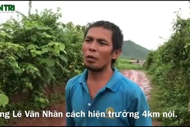 Cư dân làng Dừa kể chuyện đi tìm phi công và máy bay rơi