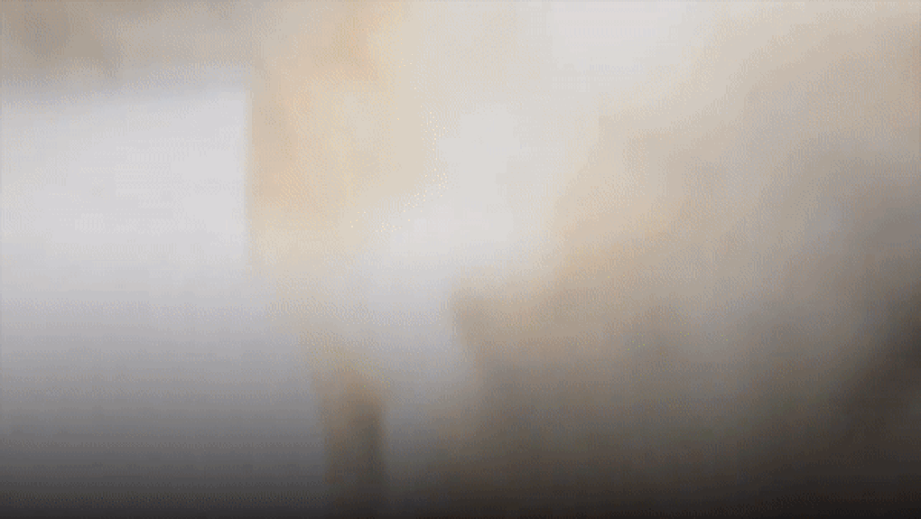 Nơi lợn rừng xâm chiếm đường phố khiến chính quyền địa phương đau đầu - 1