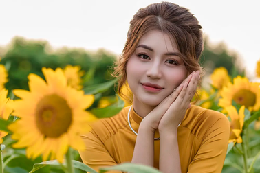 Mùa thu về dịu dàng trên cánh đồng hoa hướng dương Hà Nội