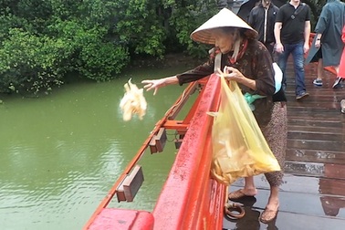 Cụ bà 92 tuổi lặng thầm "nuôi" cá hồ Gươm
