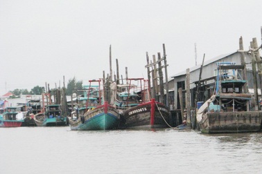 Chi tiền cho hàng chục cán bộ đi nước ngoài học quản lý tàu cá