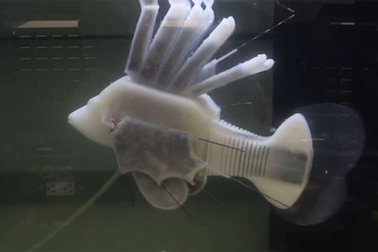 Cá robot có thể bơi nhiều giờ bằng… máu tổng hợp