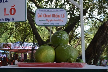 Lễ hội trái cây: Những kỷ lục ấn tượng