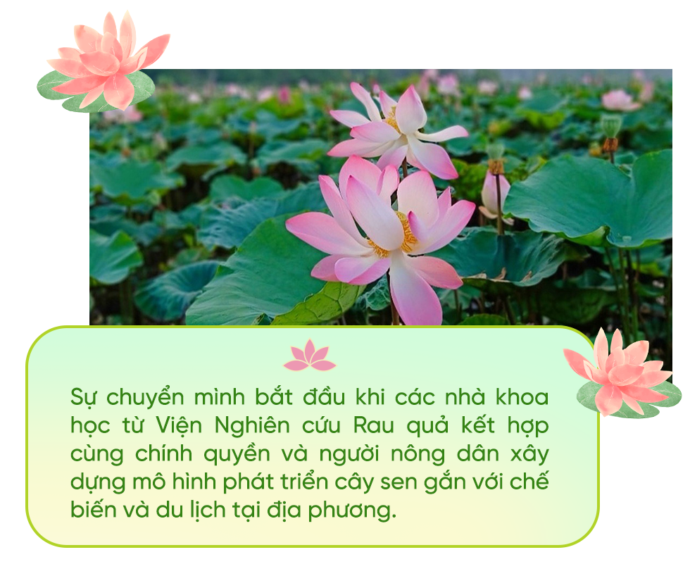 Hoa sen vươn mình giữa đất cằn để những miền quê Việt thêm nhà lầu, xe hơi - 5 Hoa sen vươn mình giữa đất cằn để những miền quê Việt thêm nhà lầu, xe hơi - 5