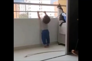 Mèo "bảo mẫu" giúp ngăn em bé thực hiện hành động nguy hiểm