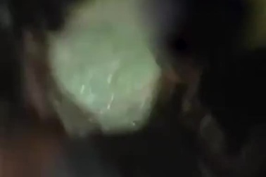 Nhóm trẻ con dùng con trăn dài hơn 2m để nhảy dây, người lớn quay video