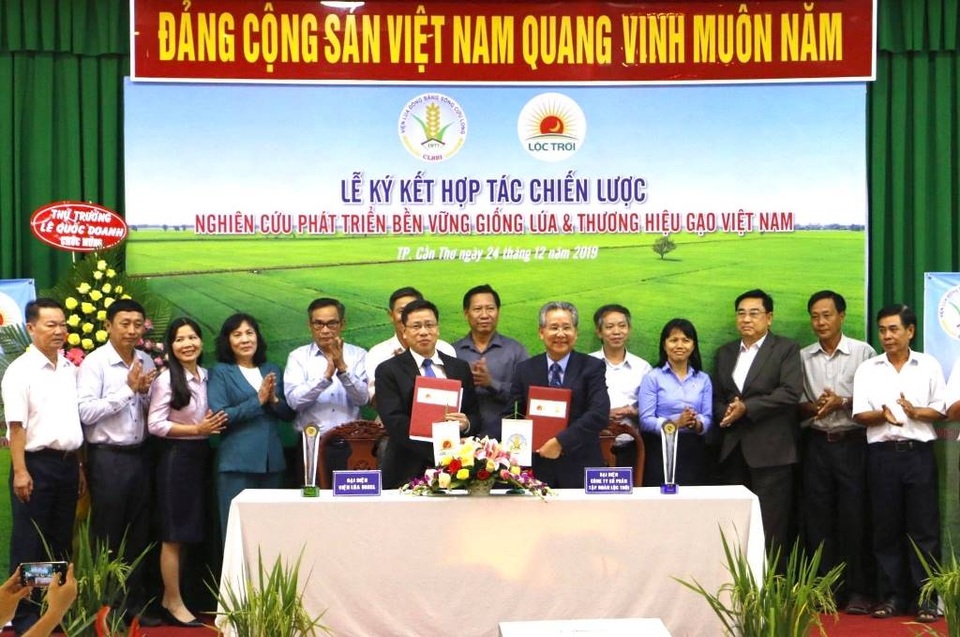 Viện lúa ĐBSCL ứng dụng công nghệ cao để phát triển giống lúa ngon hơn - 1 Viện lúa ĐBSCL ứng dụng công nghệ cao để phát triển giống lúa ngon hơn - 1