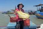 Trúng đậm mẻ cá nhóm "tứ quý", ngư dân thu về 300 triệu đồng