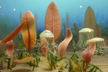 Do đâu sự sống trên Trái Đất đột nhiên tiến hóa vào 600 triệu năm trước?