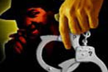 Những tên trộm ngớ ngẩn nhất năm 2005 