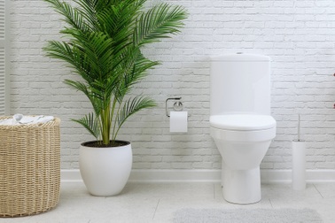 Nước trong bồn cầu có thể khiến nhà vệ sinh bốc mùi, xử lý ra sao?