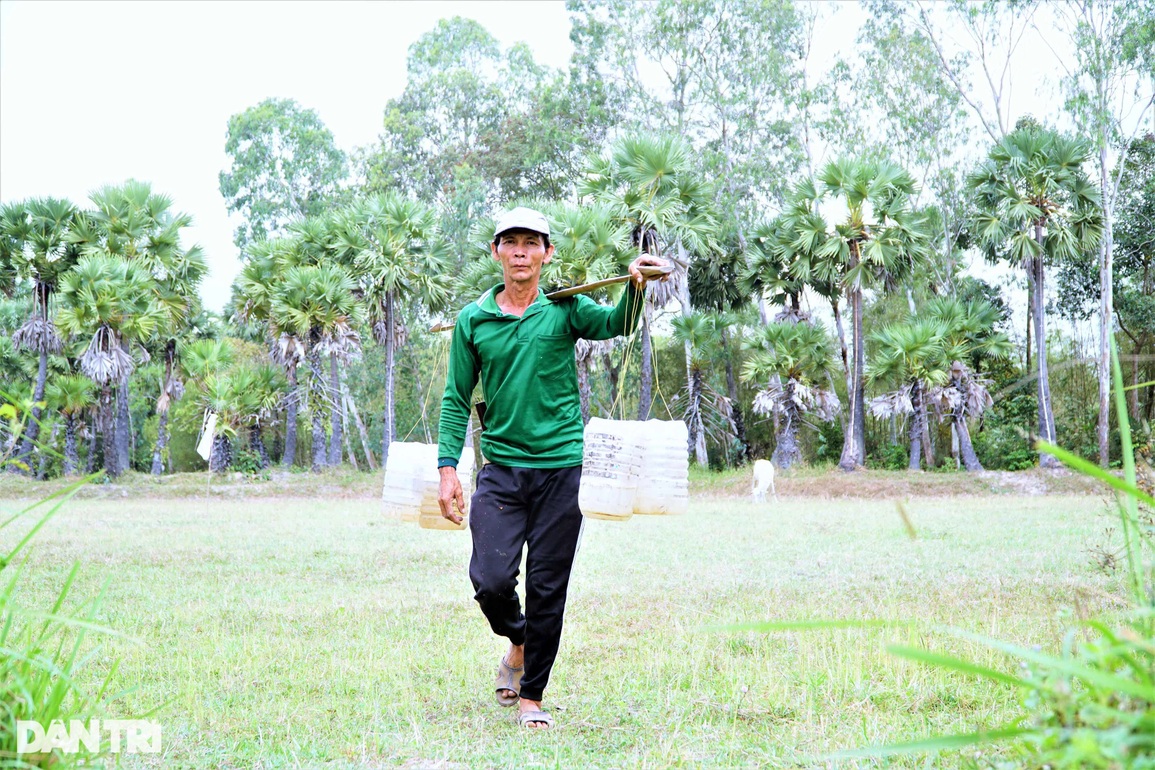 Về An Giang xem nghề ăn cơm dưới đất làm việc trên... trời - 7 Về An Giang xem nghề ăn cơm dưới đất làm việc trên... trời - 7