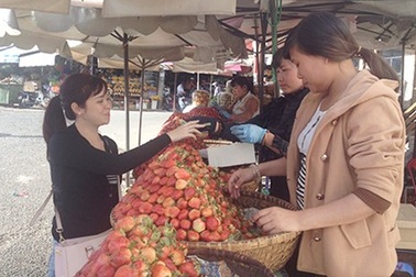 Mua đặc sản Đà Lạt, rước về "cục tức"