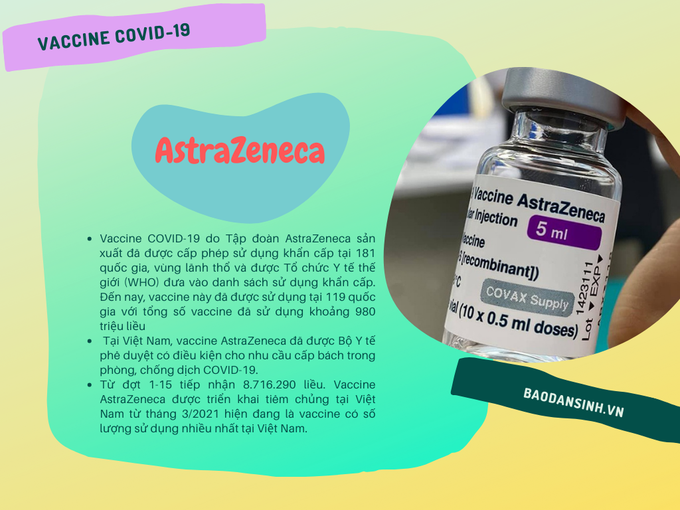 Các loại vaccine đã được cấp phép tại Việt Nam - Ảnh 1.