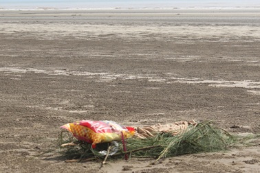 Phát hiện thi thể một bé trai bị sóng đánh dạt vào bờ