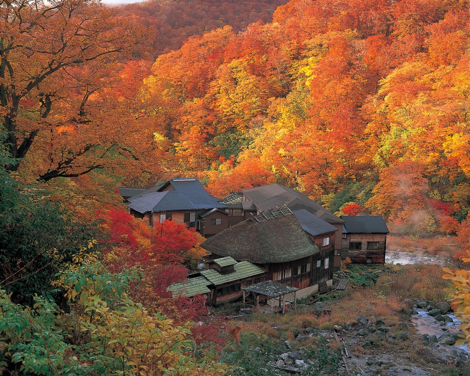 Nyuto Onsen - Suối nước nóng bí mật của người dân phố núi - 1 Nyuto Onsen - Suối nước nóng bí mật của người dân phố núi - 1