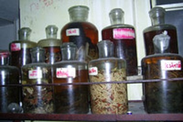 Rượu bổ tùy người