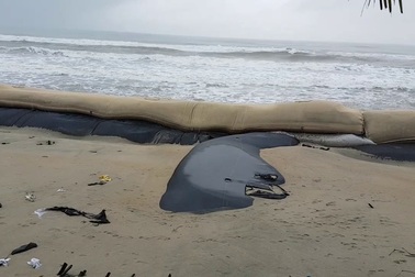 Bờ biển Cửa Đại bị sạt lở nghiêm trọng