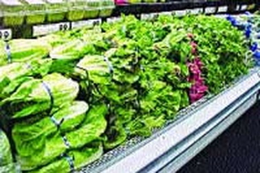 Rau xanh bị... đầu độc!