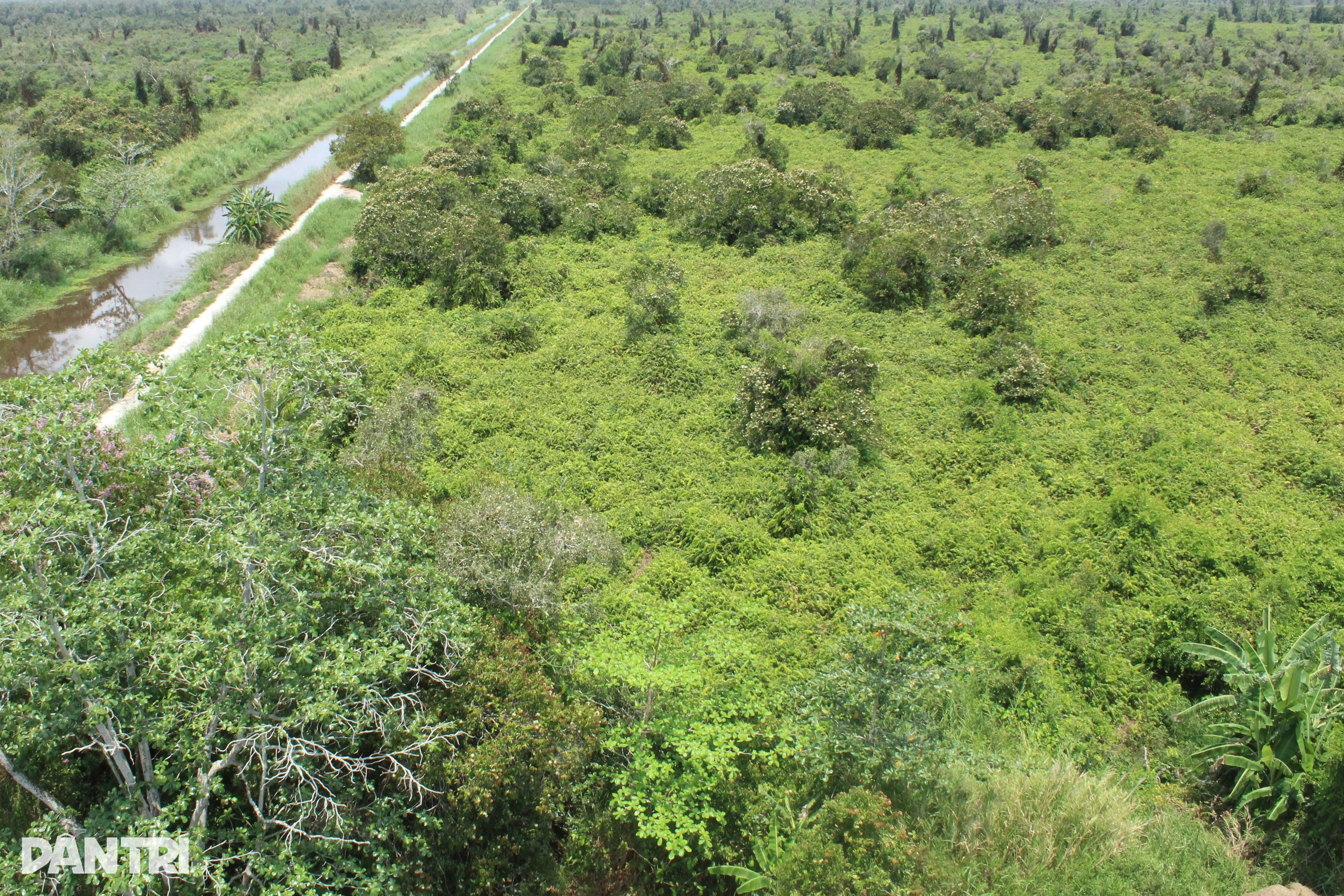 ກ່າເມົາຢຸດຕິການຍ່າງປ່າຢູ່ປ່າ U Minh Ha ຍ້ອນຄວາມຮ້ອນ ແລະໄພແຫ້ງແລ້ງ - 1 Cà Mau dừng hoạt động đi bộ xuyên rừng U Minh Hạ do nắng nóng, khô hạn - 1