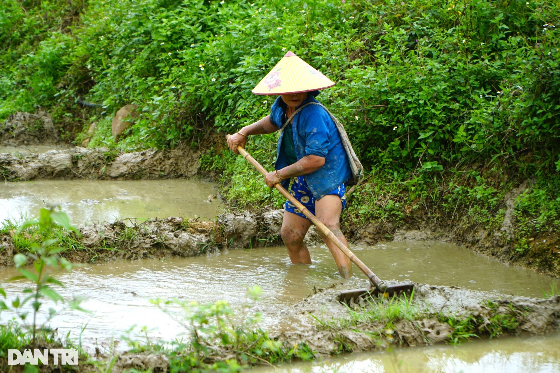 Ngắm ruộng bậc thang đẹp bình yên mùa nước đổ ở Thanh Hóa - 5