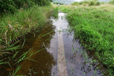 Bé trai 2 tuổi sẩy chân xuống kênh thủy lợi chết đuối thương tâm