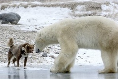 Tuyển tập những hình ảnh khoa học ấn tượng tuần qua