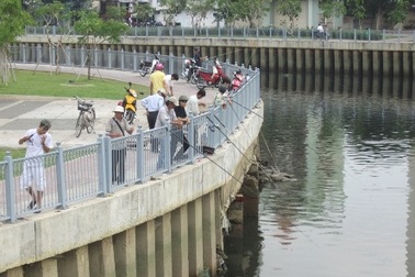 Cá đã sống được trên dòng kênh “chết”