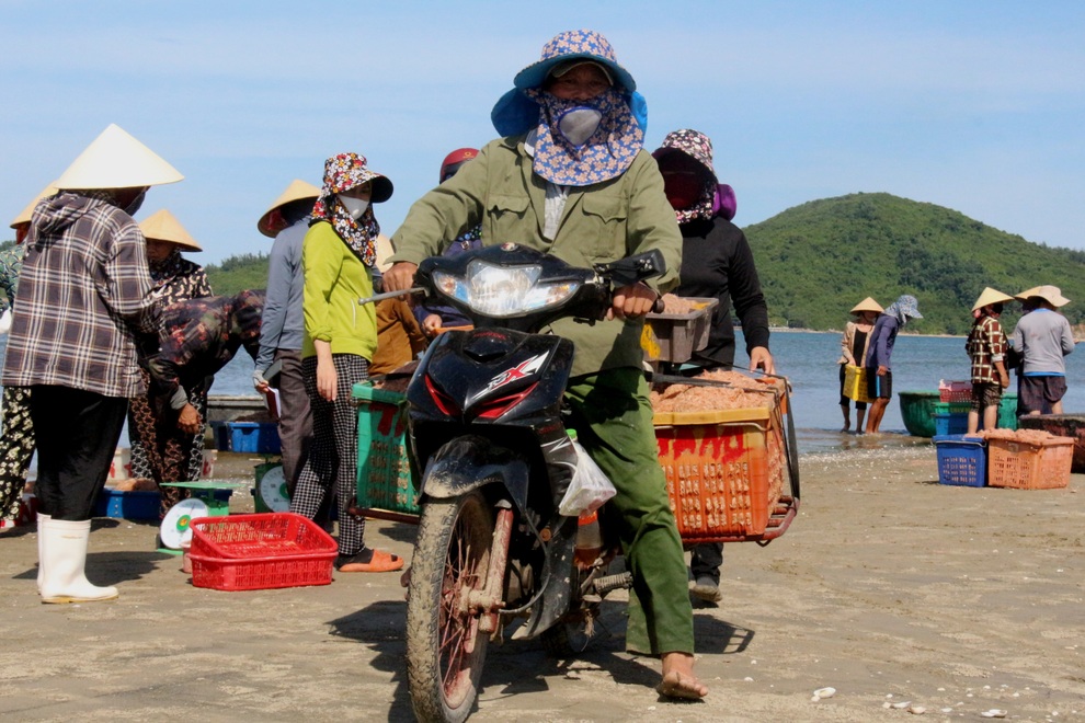 Ngư dân trúng mùa ruốc, thu tiền triệu mỗi ngày - 8 Ngư dân trúng mùa ruốc, thu tiền triệu mỗi ngày - 8