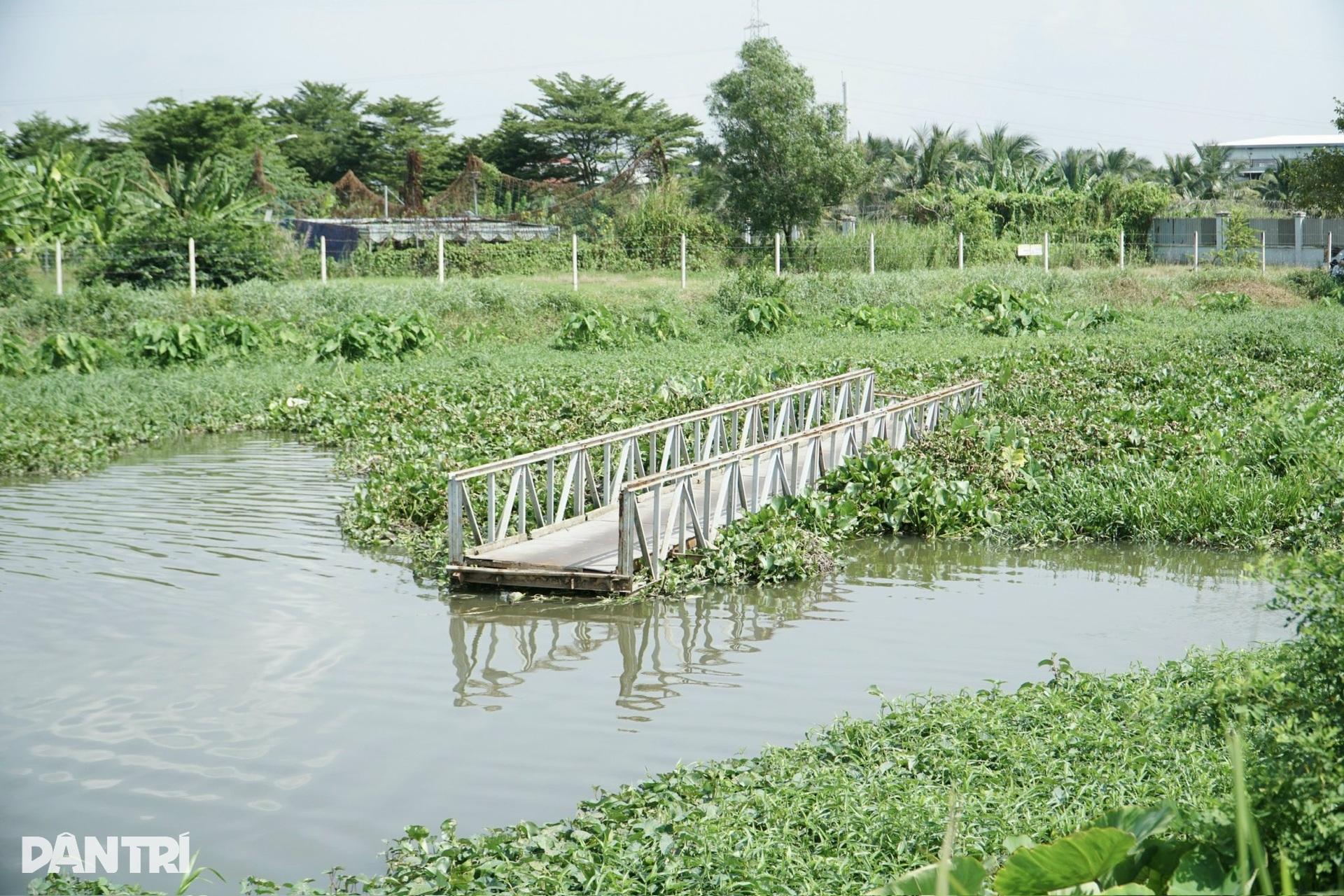 Bốn cây cầu bị nước cuốn trôi hết 3 cây, người dân ở TPHCM đi lại ra sao - 1 Bốn cây cầu bị nước cuốn trôi hết 3 cây, người dân ở TPHCM đi lại ra sao - 1