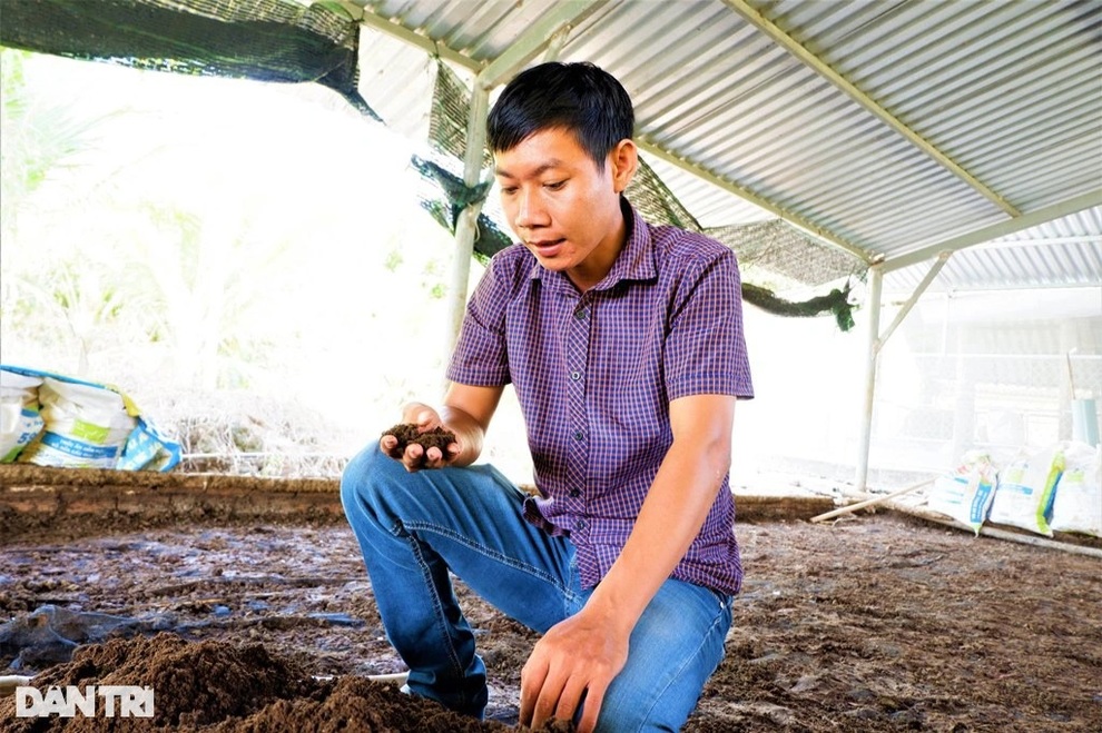 Chàng trai 9X nhẹ nhàng đút túi 300 triệu đồng/năm nhờ... nuôi trùn quế - 1 Chàng trai 9X nhẹ nhàng đút túi 300 triệu đồng/năm nhờ... nuôi trùn quế - 1