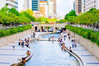 TPHCM: Tour đi Hàn Quốc giảm mạnh do dịch MERS