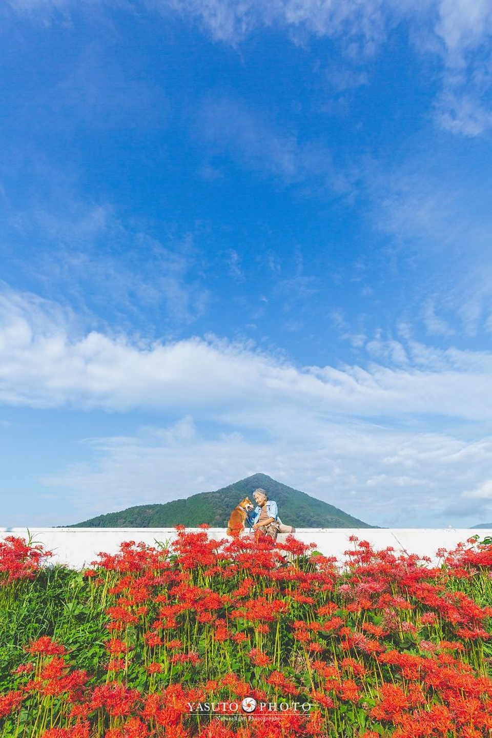 Gác lại căng thẳng để nhìn ngắm cuộc sống yên bình của “bà cụ và cún cưng” - 7 Gác lại căng thẳng để nhìn ngắm cuộc sống yên bình của “bà cụ và cún cưng” - 7