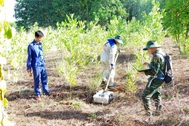 Khảo sát khu vực nghi có mộ liệt sĩ tập thể bộ đội đặc công, đơn vị bí mật