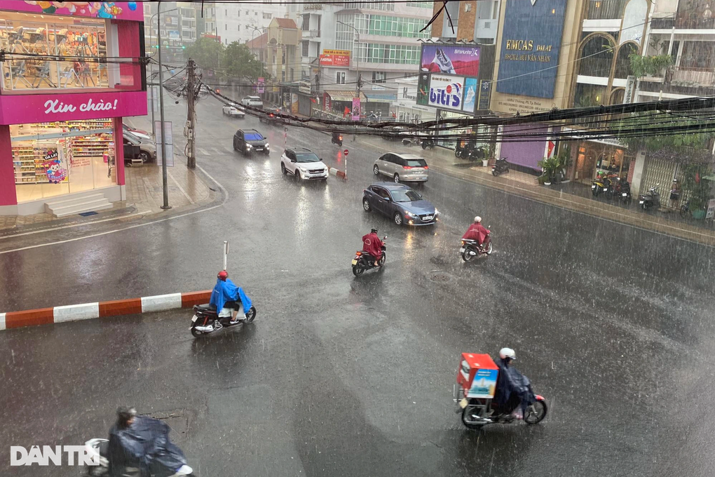 Lên Đà Lạt tránh nóng, khách bất ngờ cảnh trưa cởi trần, tối bật quạt ngủ - 2 Lên Đà Lạt tránh nóng, khách bất ngờ cảnh trưa cởi trần, tối bật quạt ngủ - 2
