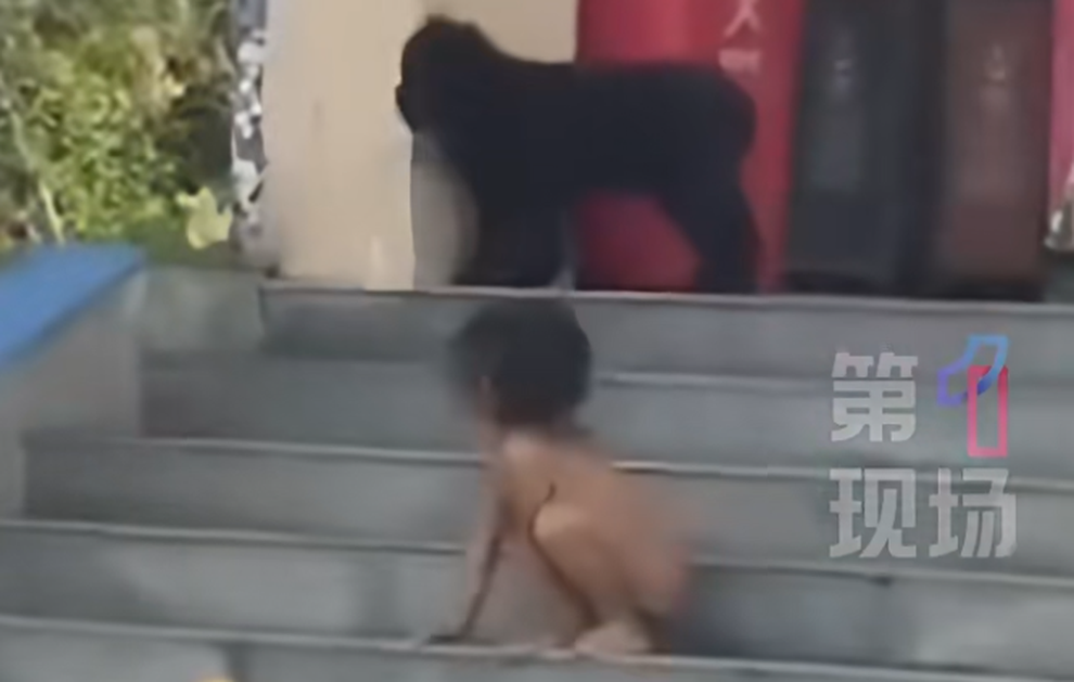 Em bé sống như người rừng, bò bằng tứ chi ở cùng cha mẹ có học vấn cao - 1