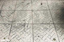 Bụi đen "tấn công" sát Tết, người dân ở TPHCM không dám mở cửa nhà