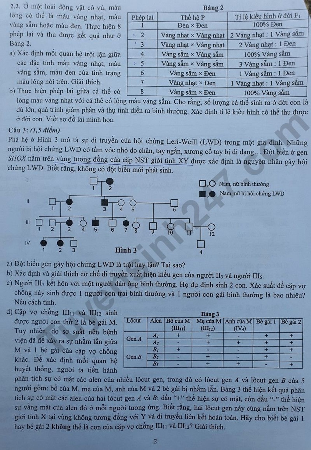 Đề thi môn Sinh dài 4 trang đầy thử thách để vào Chuyên Khoa học tự nhiên - 2