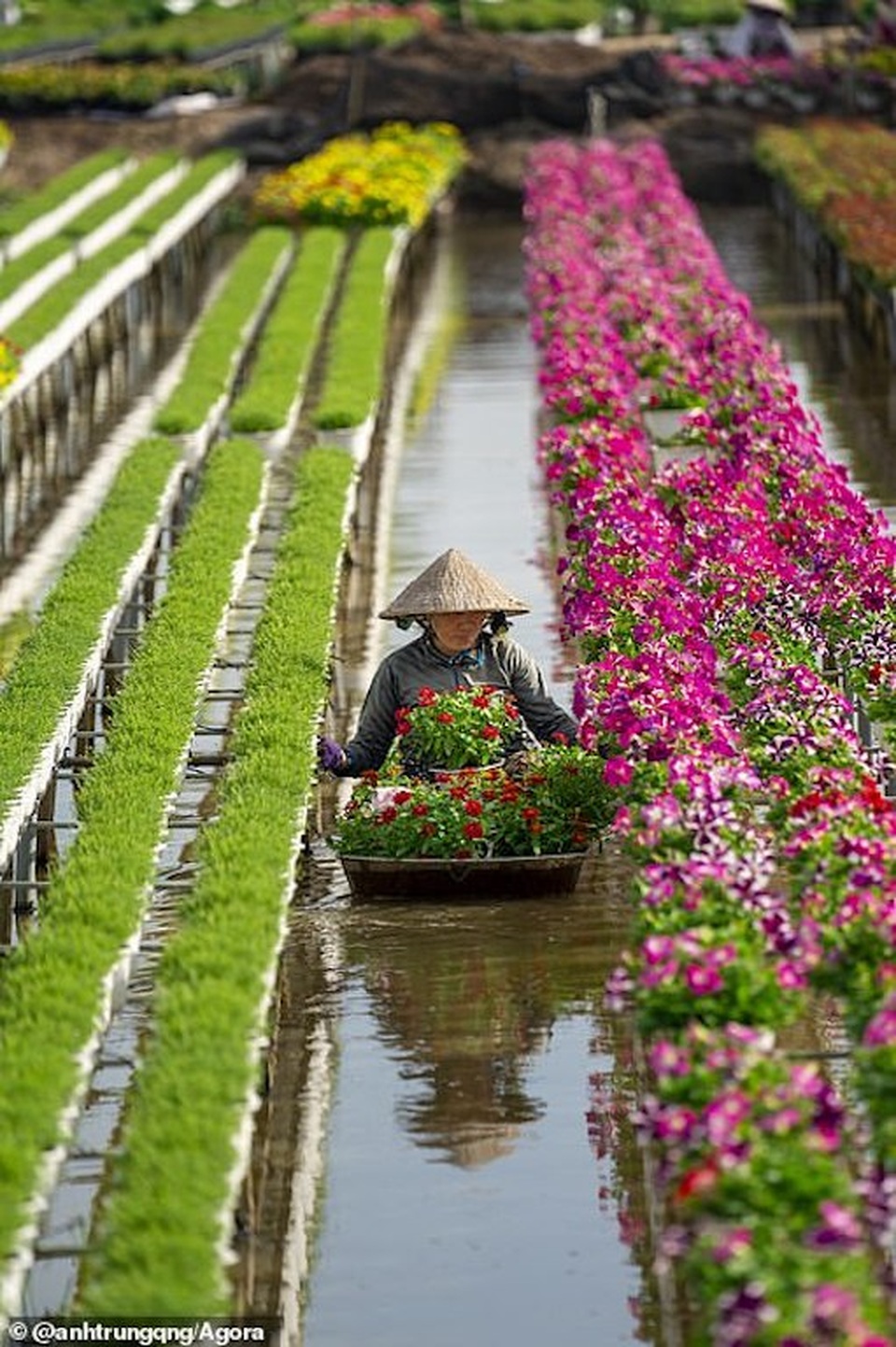 Ảnh Suối Yến của Việt Nam đạt giải nhất cuộc thi Nhiếp ảnh mùa xuân 2020 - 8 Ảnh Suối Yến của Việt Nam đạt giải nhất cuộc thi Nhiếp ảnh mùa xuân 2020 - 8