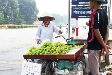 Nho Trung Quốc "đột lốt" nho Ninh Thuận ồ ạt xuống phố