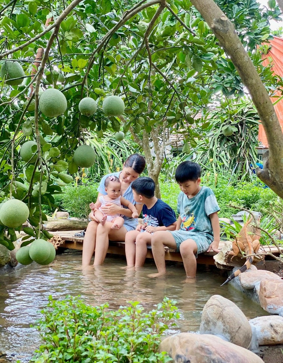 Trốn khói bụi, giám đốc ở Hà Nội về quê làm vườn 3.500m2 ngập hoa trái - 5