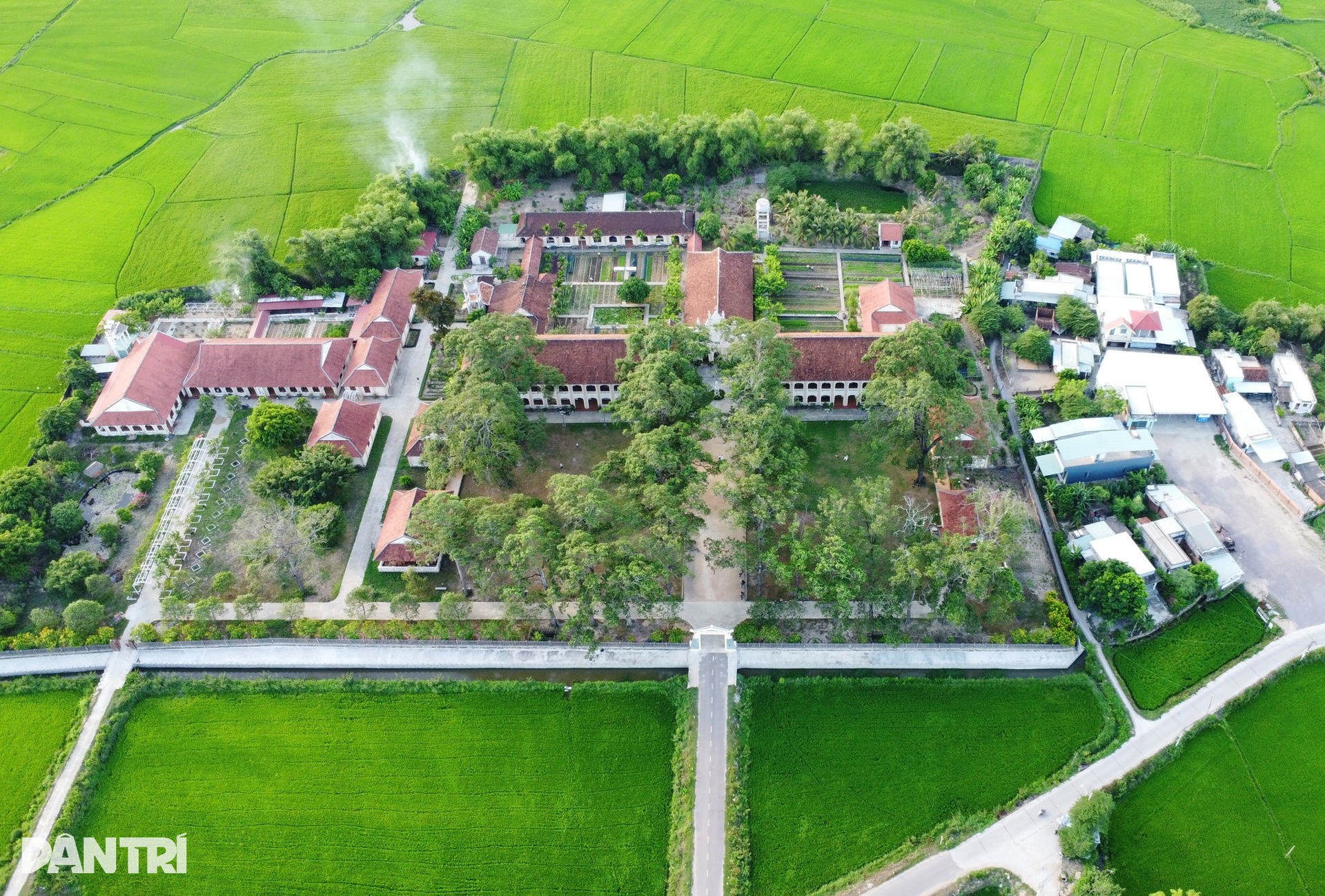 Hàng cây sao cổ thụ ở Tiểu chủng viện Làng Sông hồi sinh sau bão lịch sử - 12
