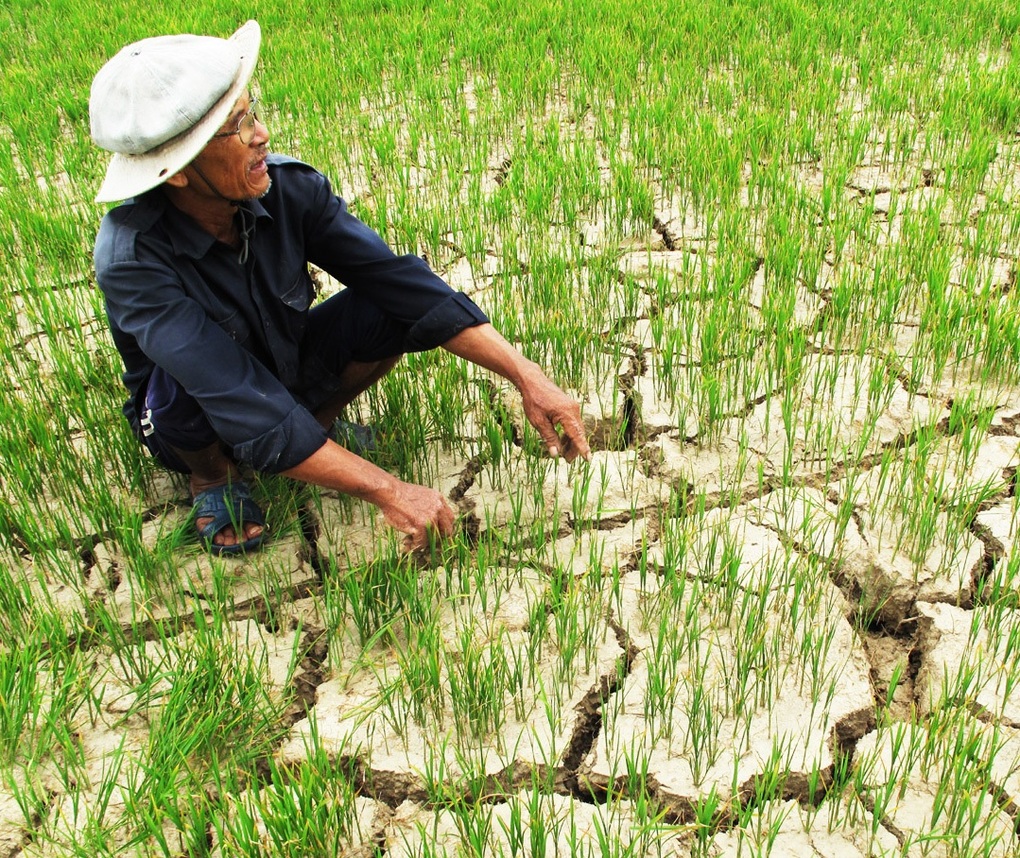 Xâm nhập mặn ngày càng đáng báo động - 2 Xâm nhập mặn ngày càng đáng báo động - 2