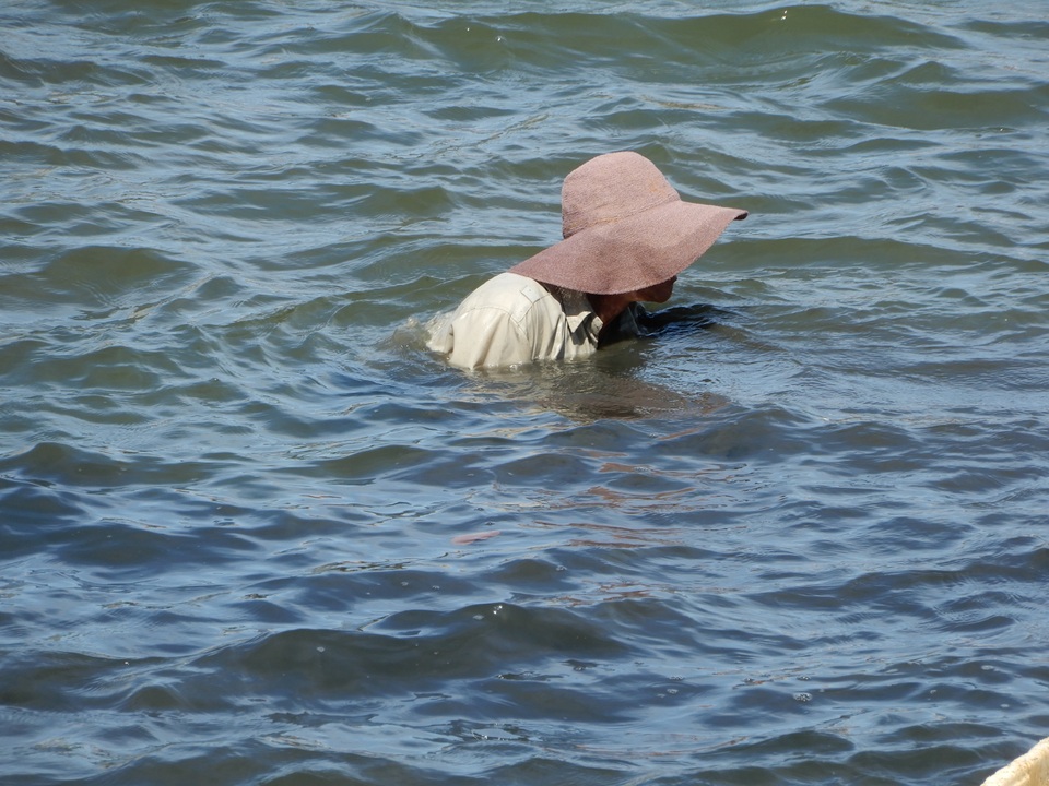 Săn thức ăn cho tôm hùm giữa ngày nóng nực, kiếm hơn nửa triệu đồng/ngày - 6