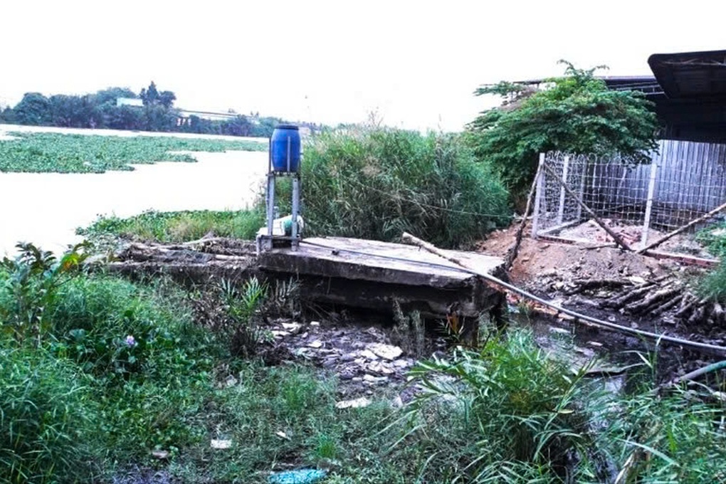 Công ty xả thải chưa qua xử lý ra sông Vàm Cỏ Tây ở Tây Ninh - 1