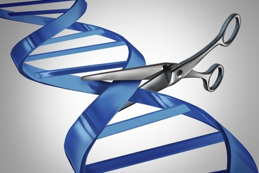 Đột phá: Chữa khỏi hoàn toàn bệnh AIDS bằng chỉnh sửa gen