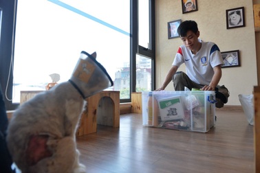 9X bỏ dở đại học, "dành cả thanh xuân" để kiếm tiền cứu mèo hoang